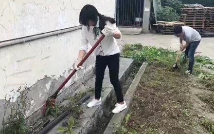 五•四青年节 厂青年员工挥洒汗水