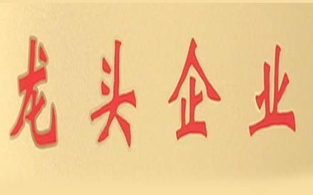 热烈祝贺森普管材被确定为2017年度“龙头企业”