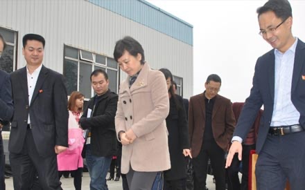 德阳市“两新”组织党建工作现场会